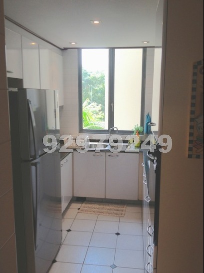 Springdale Condominium (D21), Condominium #435492